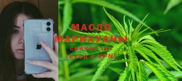 индика Арсеньев