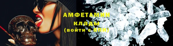 индика Арсеньев