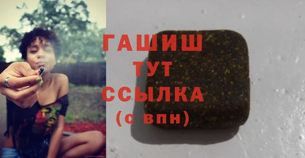 индика Арсеньев
