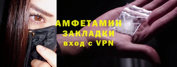 индика Арсеньев