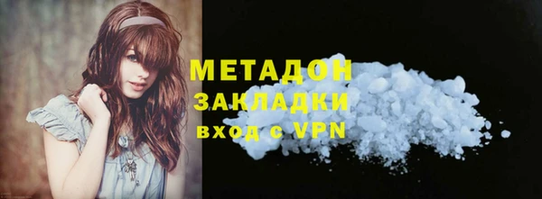 индика Арсеньев