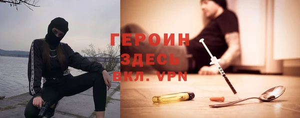 индика Арсеньев