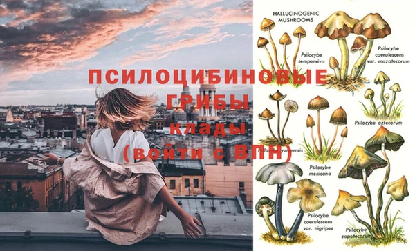 индика Арсеньев