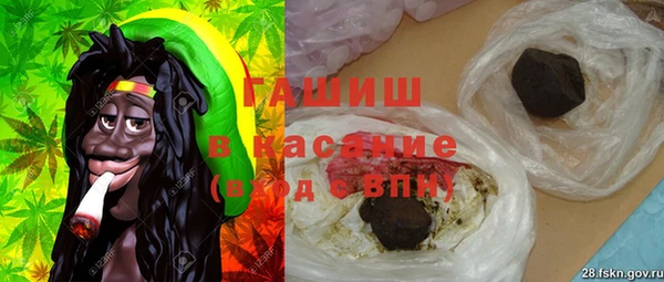 индика Арсеньев