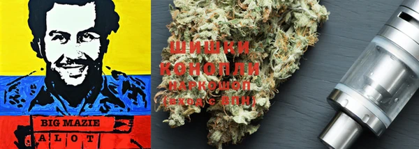 индика Арсеньев
